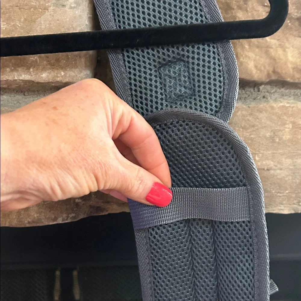 New Purple and Gray Dog Carrier.